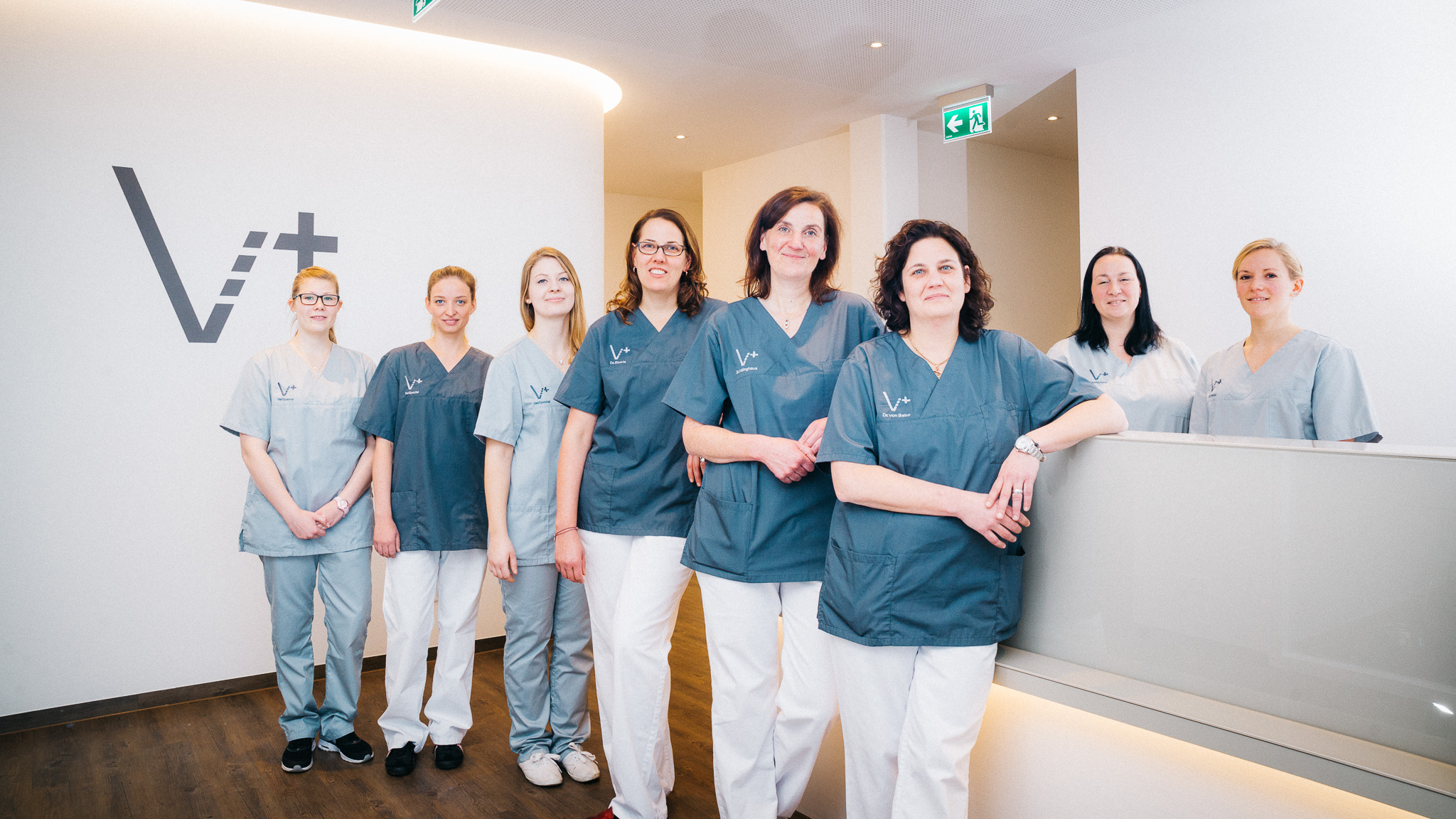 tierärztliche praxis für kleintiere dr med vet natalie wilhelm
